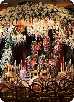 Weddingz.in SEO growth case study gallery