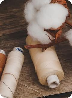 Gujarat Ambuja case study gallery